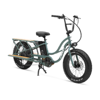 Higgs Cargo Electric Bike