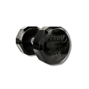 1550lb 12-Sided Rubber 55-100lb Dumbbell Set by Troy Barbell