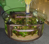 55 Gallon GLASS Round Table Aquarium Fish Tank Setup - MAPLE
