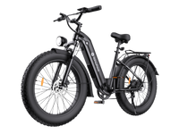 isinwheel U8 Ultra Electric Bike for Adults - color and finish view