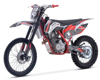 TrailMaster TM33 250 Dirt Bike rear suspension and swingarm