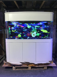 200 Gallon Seamless Glass Bowfront Aquarium, Reef-Ready | Tulum White Real Wood Furniture
