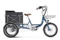 Letrigo Robin Cargo Electric Bike