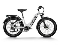 Himiway D5 ST(Zebra ST) / All-terrain Electric Fat Bike *PREORDER*
