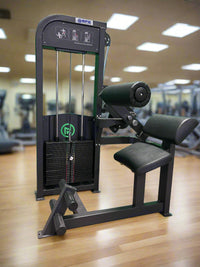 SFE Selectorized Back & Ab Combo Fitness Machine 250lb Weight Stack