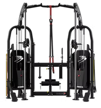 Batca Link Free Trainer - Dual 200lb Weight Stacks with WSE, AS & AP