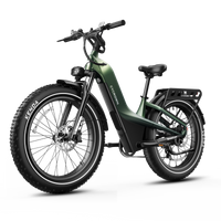 Cycrown Nomad Pro Fat Tire Ebike - full product view