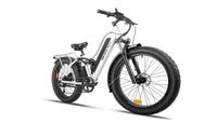 Bee Explorer Soft Tail Long Range Electric Bike