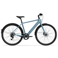 TENWAYS CGO600 Pro Electric Bike - The Lightweight Champion