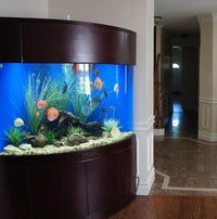 400 Gallon Glass Corner Aquarium Tank Wood Stand, Reef-Ready | Canopy in Rose Cherry