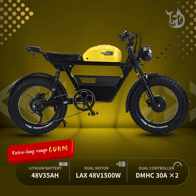 DITON Tank300 Electric Bike detail view