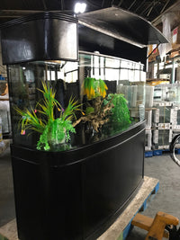 215 Gallon GLASS Bow Front Aquarium Fish Tank Set