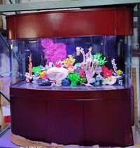 380 Gallon Seamless Glass Bowfront Aquarium, Reef-Ready in Rose Cherry Real Wood Furniture