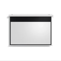 Valerion Backyard Weather Proof Motorized Drop Down Screen - Matte White 120"