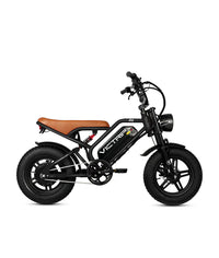 Victrip R6 Off Road E-Bike