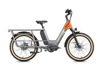 Letrigo Minivan Electric Bike