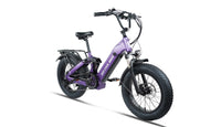Bee Ranger Soft Tail Long Range Electric Bike