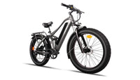 Bee Adventurer Soft Tail Long Range Electric Bike