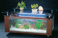 45 Gallon GLASS Rectangle Table Aquarium Fish Tank Full Setup