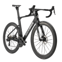 ROCKBROS Pegasus 1.0 Bicycle