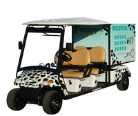 MotoEV Electro Neighborhood Buddy 4 Passenger Enclosed Utility Street Legal Golf Cart - Front View