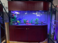 120 Gallon U-Shape Bullnose Peninsula Divider Glass Aquarium, Reef-Ready