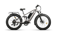 Bee Voyager Dual Batteries Soft Tail Electric Bike