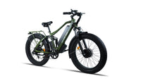Bee Adventurer X2 Soft Tail Dual Motors Electric Bike