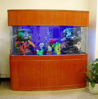 MONSTER TANK! 380 Gallon Seamless Glass Bowfront Aquarium, Reef-Ready