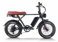 CEMOTO EB66 Harley-Like Hi-Tech E-Bike | 750W Dual Battery