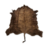 American Buffalo Bison Hide Rug