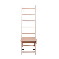BenchK 112 Childrens Home Gymnastics Ladder with Removable Desk