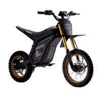 Droyd Berzerker electric dirt bike in Midnight Black with gold accents - front view