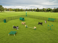 BarkPark Best in Show Course in Natural beige and green color scheme