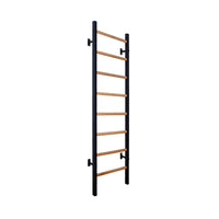 BenchK 200 Gymnastic Wall Bars for Home