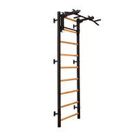BenchK 731 Wall Bars and Pull-Up Bar Exercise Rehabilitation Equipment
