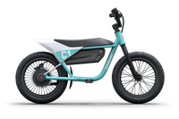 Himiway C1 Kids Electric Bike