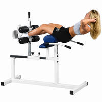 Pro Maxima FW-40 Glute/Ham Developer