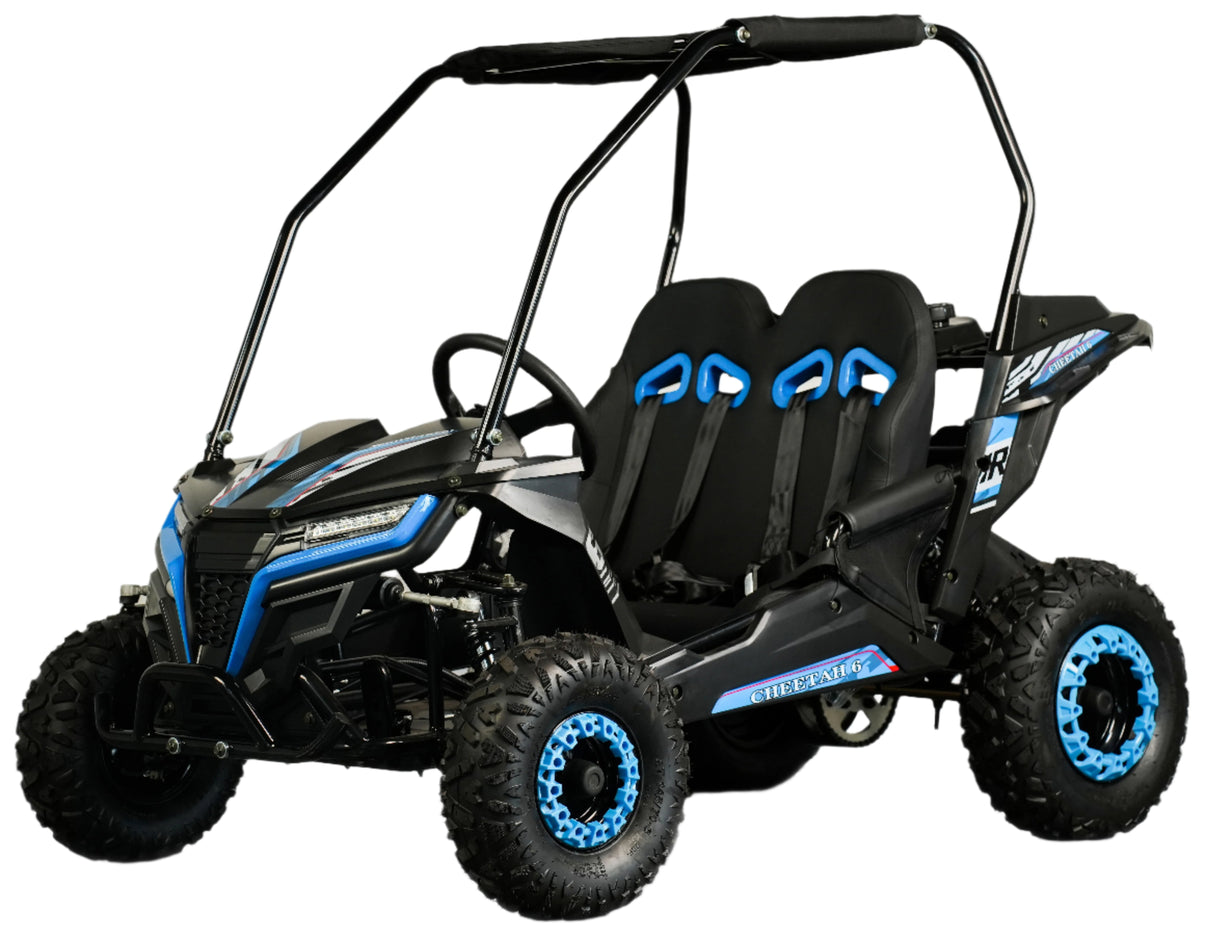 TrailMaster Cheetah-6 Go Kart hero shot - 5.5HP youth go kart with canopy top
