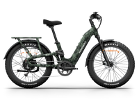 Himiway D5 2.0 Camo Electric Bike