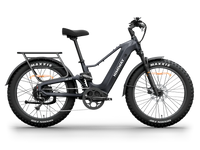Himiway D5 2.0 Step-over Electric Bike
