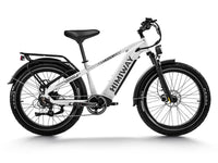 Himiway D5(Zebra) / All-terrain Electric Fat Bike