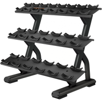 Precor Discovery DBR0814 3-Tier 10-Pair Dumbbell Saddle Rack