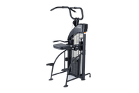 SportsArt DF-307 Assisted Chin-Up and Tricep Dip Dual Function Strength Machine
