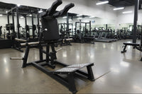 SFE Plate Loaded Power Squat & Hack Squat Fitness Machine
