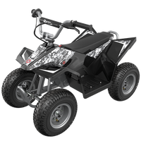 Razor Electric Dirt Quad