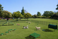BarkPark Intermediate Dog Agility Course Kit with 6 pieces set up in a park with grass
