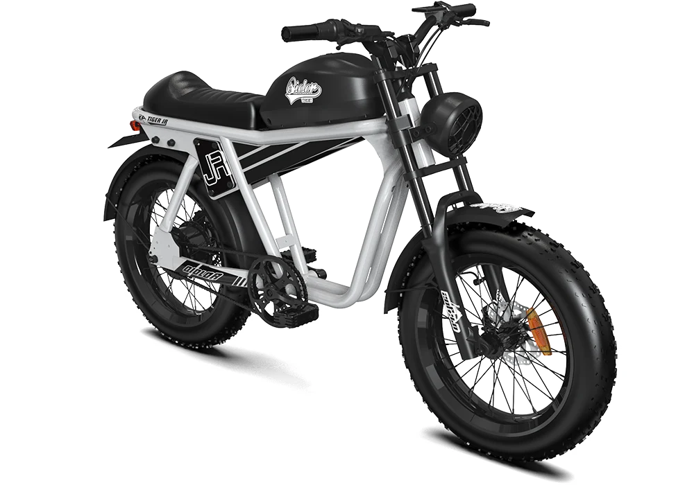 QIOLOR TIGER JR Commuter Electric Bike in Gray