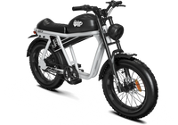 QIOLOR TIGER JR Commuter Electric Bike in Gray