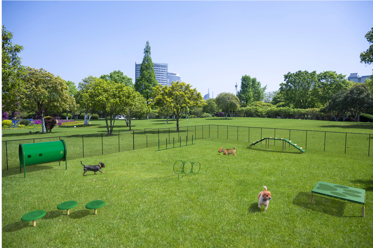 BarkPark Small Dog Advanced Kit 6-piece agility course in natural color scheme - full set view